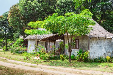 Yeşil orman ve kulübe