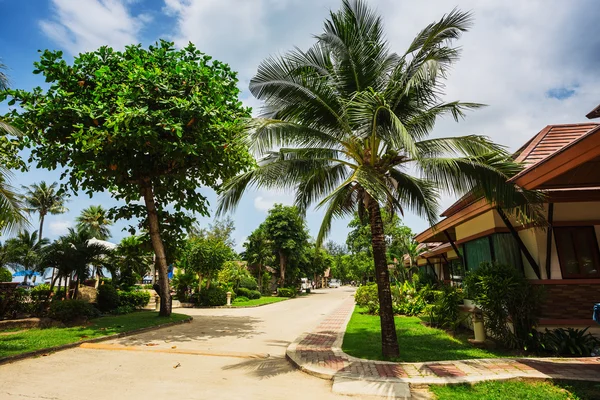 Cottages on the Bay in a tropical garden — Stock Photo, Image