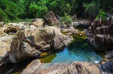 Doğu Asya'nın tropikal ormanlarda akışında