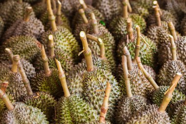 Durian, Tayland'da ünlü meyve