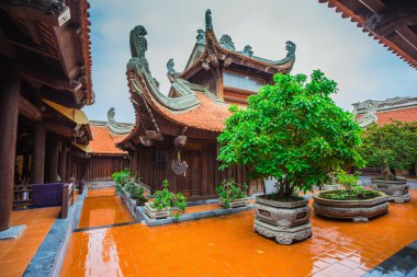 Budist tapınağı Vietnam