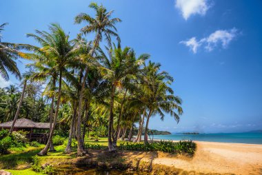 Güzel tropikal beach Koh Chang adlı
