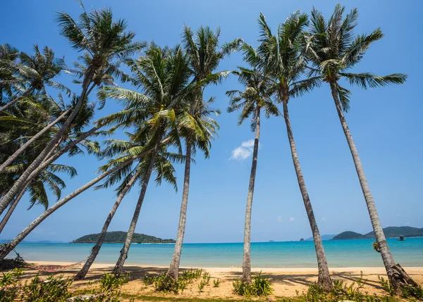 Beautiful tropical beach at Koh Chang — Stock Photo, Image