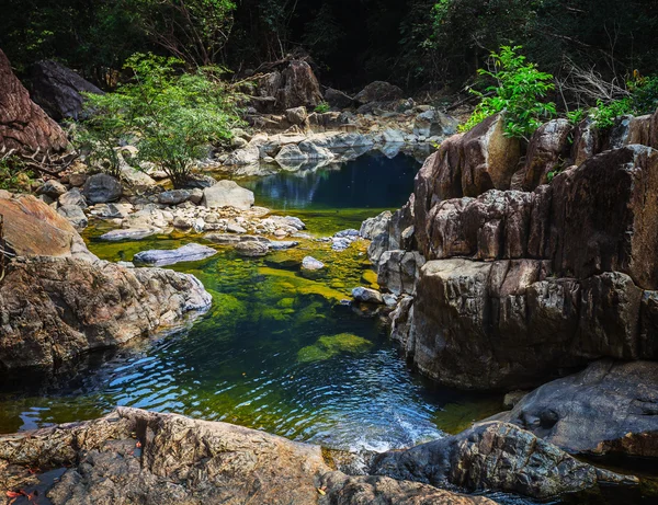 Stream in tropical jungles — Stock Photo, Image