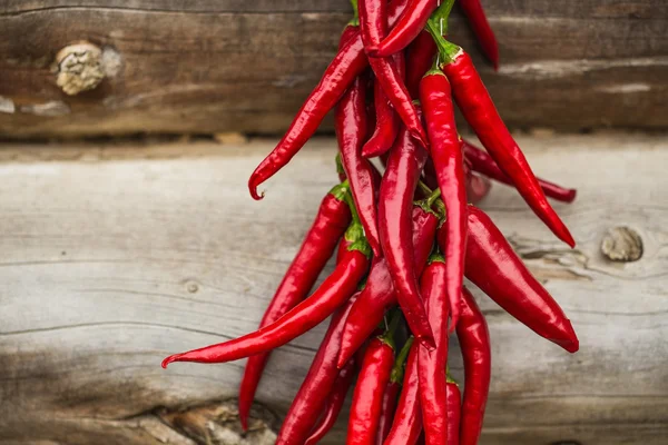 Pimentos secos vermelhos — Fotografia de Stock