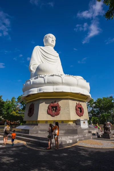 Wielki Budda w długi syna Pagoda — Zdjęcie stockowe