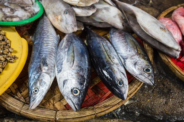 Verkoop van vissen en zeevruchten in markt — Stockfoto