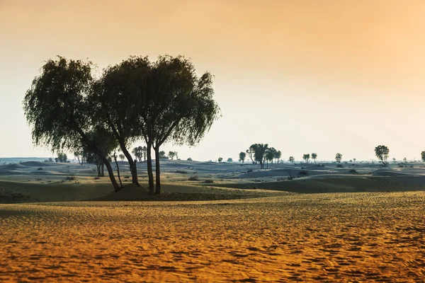 Weergave van Arabische woestijn — Stockfoto