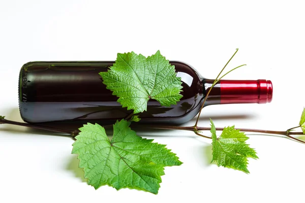 Fles wijn en tak van druivenmost — Stockfoto