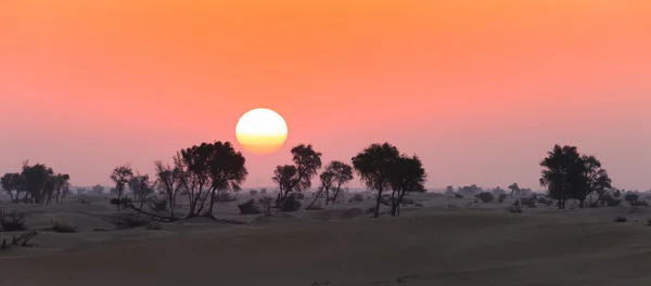 Weergave van Arabische woestijn — Stockfoto