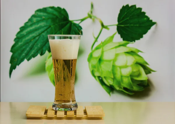 Foamy beer in a glass — Stock Photo, Image