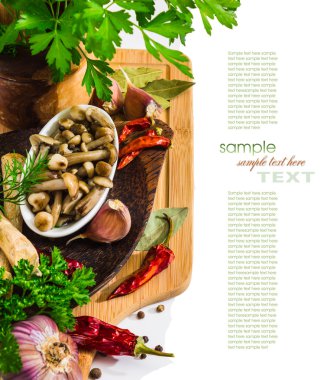 Bir fincan Marine mantar