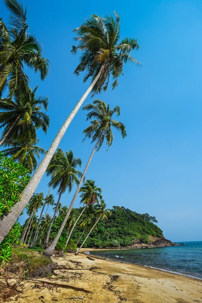 Hermosa playa tropical — Foto de Stock