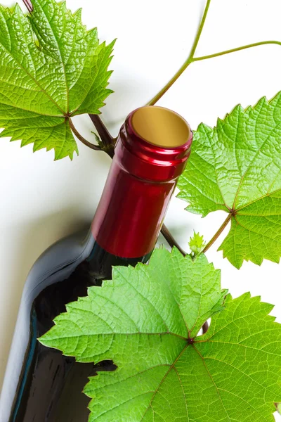 Botella de vino de cerca — Foto de Stock