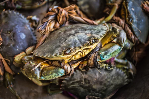 Crabs bind in market — Stock Photo, Image