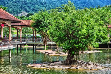 su organları üzerinde Dalat Timsah çiftliği