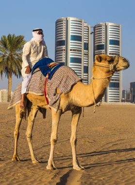 Desert landscape with man on camel