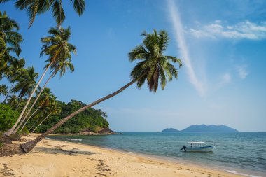 tropikal kumsalda adası Koh Chang