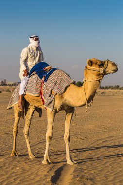 Desert landscape with man on camel