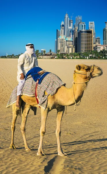 Desert landscape with man on camel — Stock Photo, Image