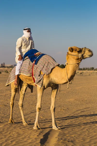 Desert landscape with man on camel — Stockfoto