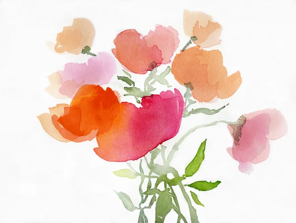 Painted poppies on paper — Stok fotoğraf
