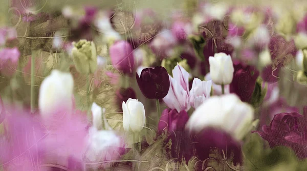 Tinted tulips vintage concept — Stock Photo, Image