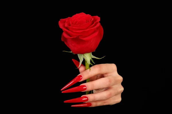 Beautiful hands with french manicure on black background — Stock Photo, Image