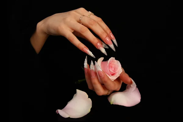 Belle mani con manicure francese su sfondo nero — Foto Stock