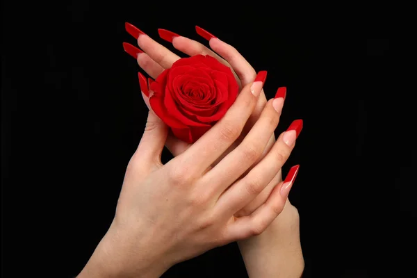 Beautiful hands with french manicure on black background — Stock Photo, Image