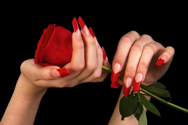 Belle mani con manicure francese su sfondo nero — Foto Stock