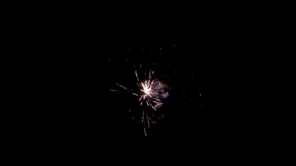Beberapa kembang api meledak tahun baru , — Stok Video