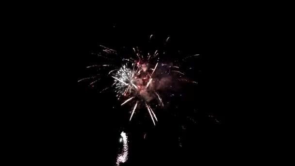 Multiple fireworks explosion new year, — Stock Video