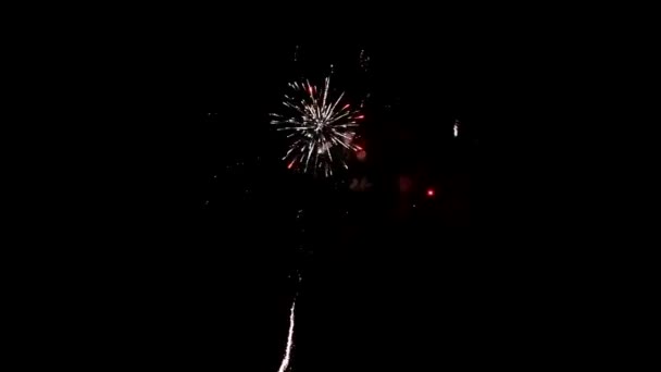 Multiple fireworks explosion — Stock Video
