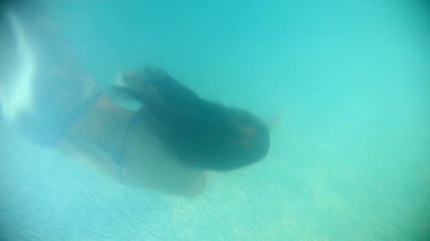 Hermosa mujer en bikini rosa buceando y nadando bajo el agua — Vídeo de stock