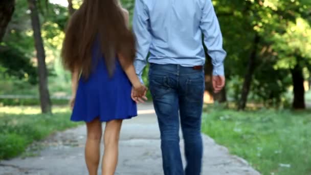 Молодая пара влюбленных гуляет по осеннему парку, держась за руки — стоковое видео