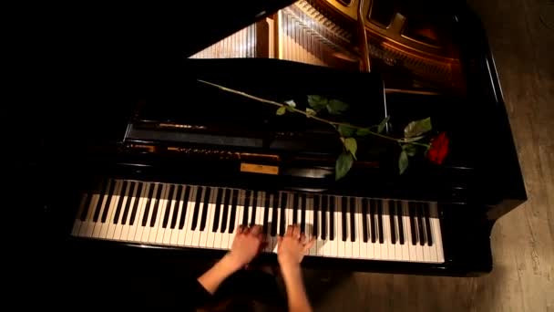 Twee handen spelen grand piano. — Stockvideo