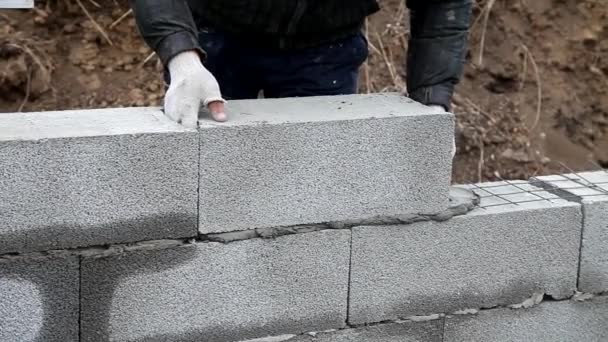 Muraren murbruk att bygga väggen — Stockvideo