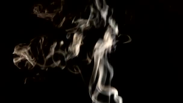 Humo blanco sobre fondo negro — Vídeo de stock