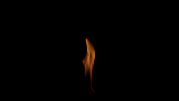 Bella Fuoco su sfondo nero. Facile integrazione nel video . — Video Stock