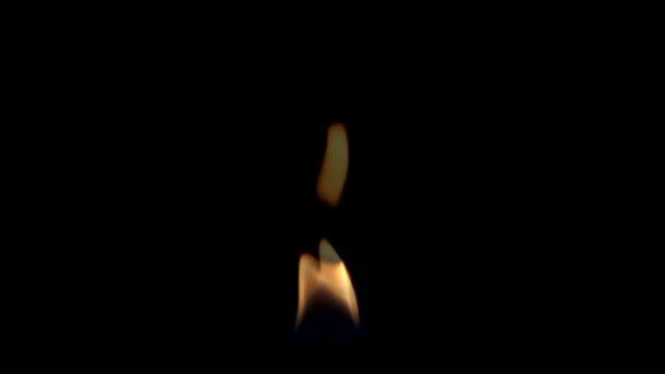 Beau feu sur fond noir. Intégration facile dans la vidéo . — Video