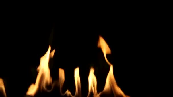 黒の背景に美しい火。ビデオに簡単に統合. — ストック動画