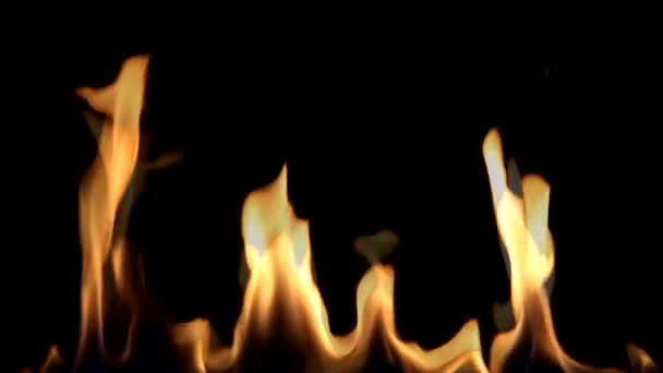 Beautiful  Fire on Black background. Easy integration into video. — Stock Video