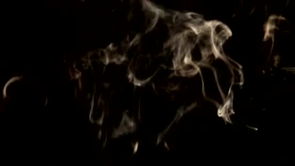 Witte rook op zwarte achtergrond — Stockvideo