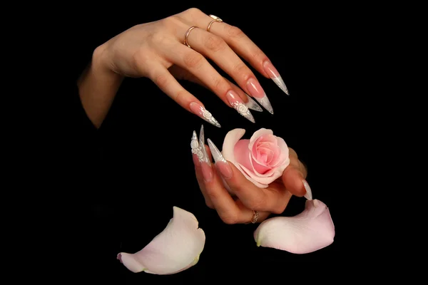 검은 배경에 고립 된 완벽 한 그려진 손톱 예쁜 여자 손 — 스톡 사진