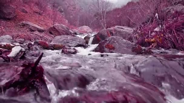 Mountain River Paisagem da Natureza, Corrente, Riacho, Brook, Pequena Cachoeira — Vídeo de Stock