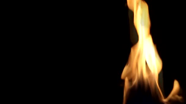 Schönes Feuer auf schwarzem Hintergrund. — Stockvideo