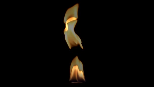Hermoso fuego sobre fondo negro . — Vídeos de Stock