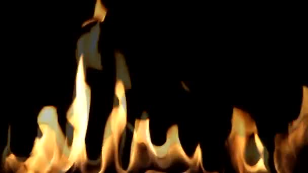 Beautiful  Fire on Black background. — Stock Video