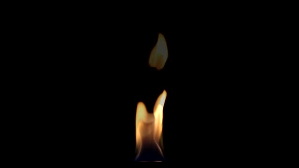 Beautiful  Fire on Black background. — Stock Video